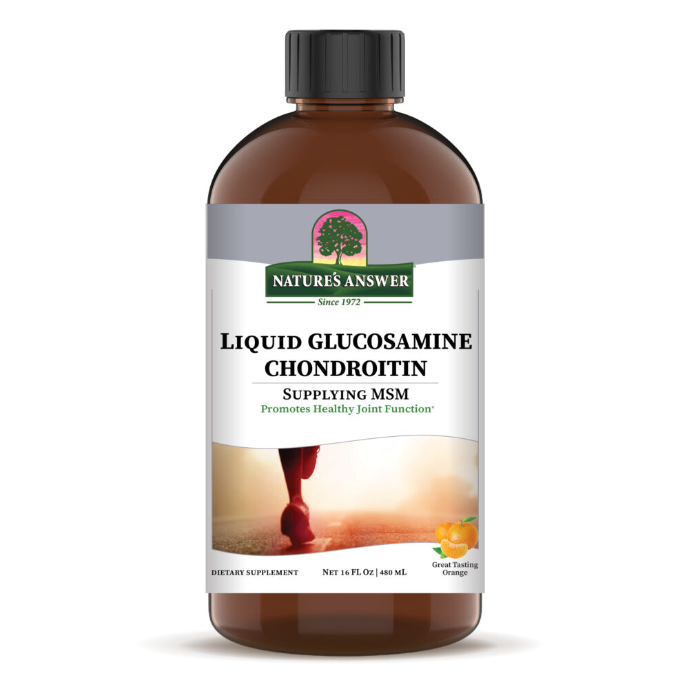 26155 Liquid Glucosamine and Chondroitin 16 Oz. High Res Vector Bottle