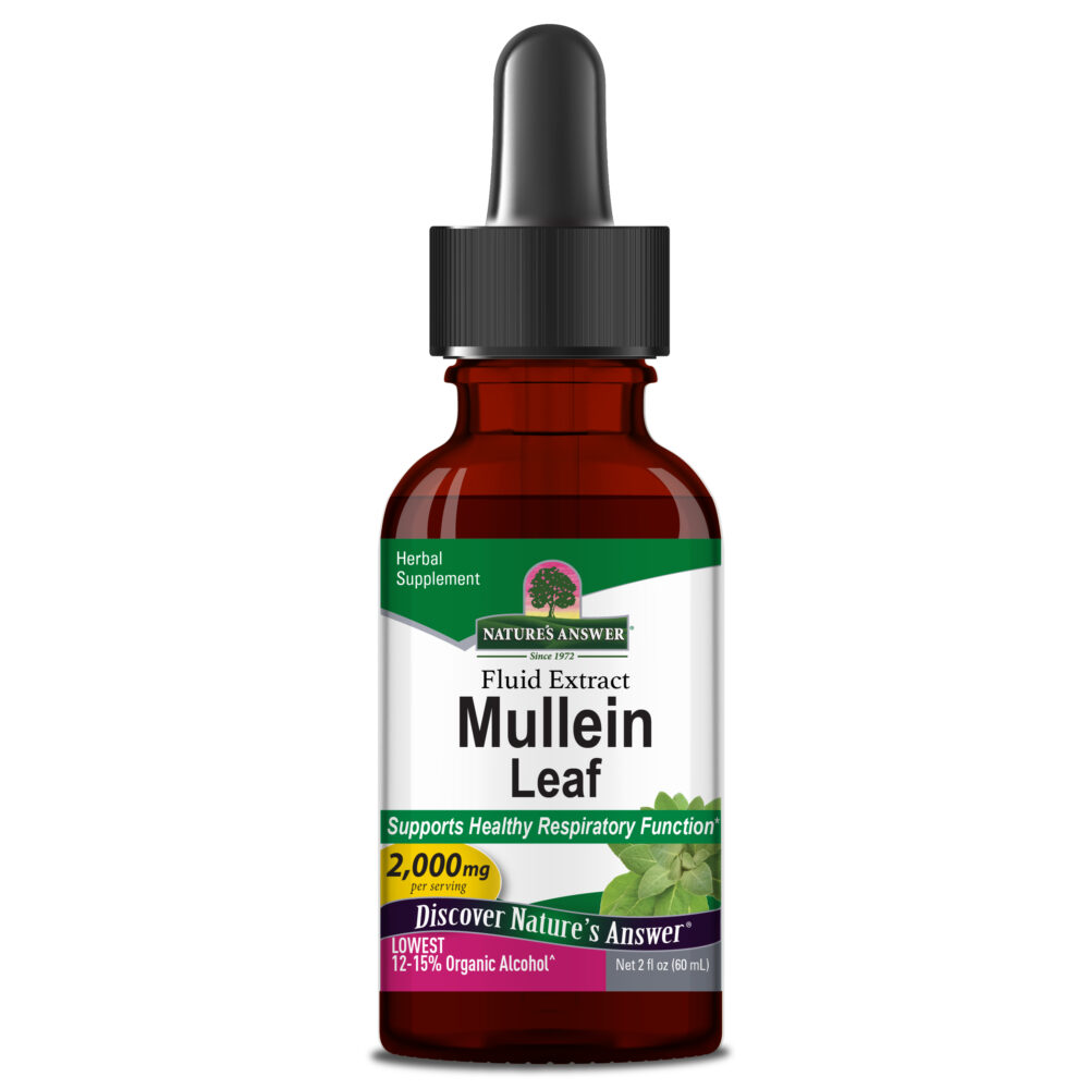 Mullein 1105