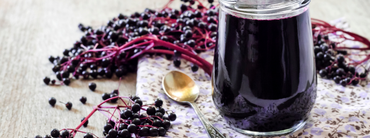 elderberry-dosage